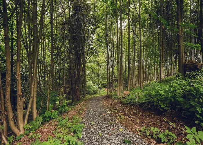 Vakantiehuis Osada Kanada *